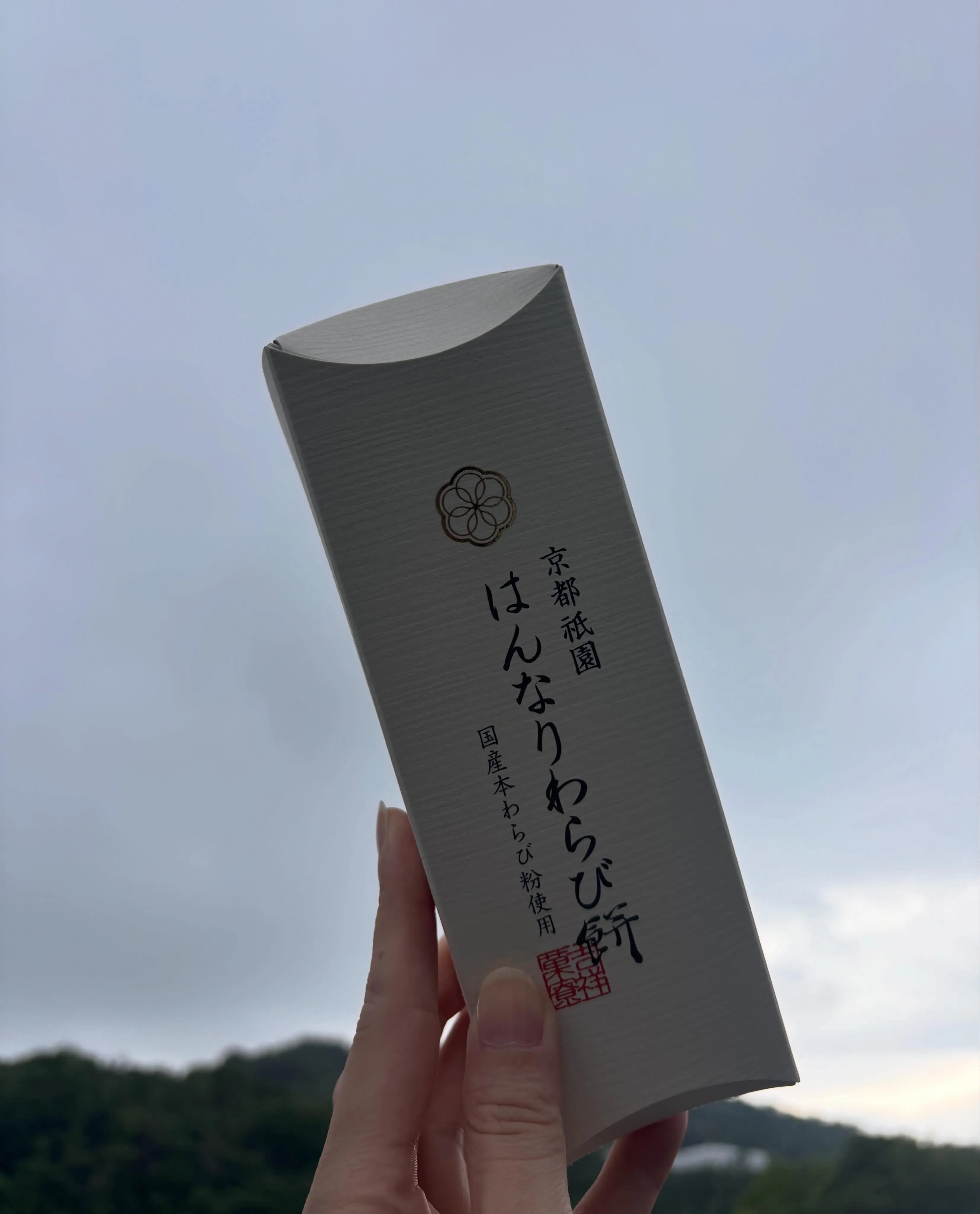 みなさん、こんにちは！