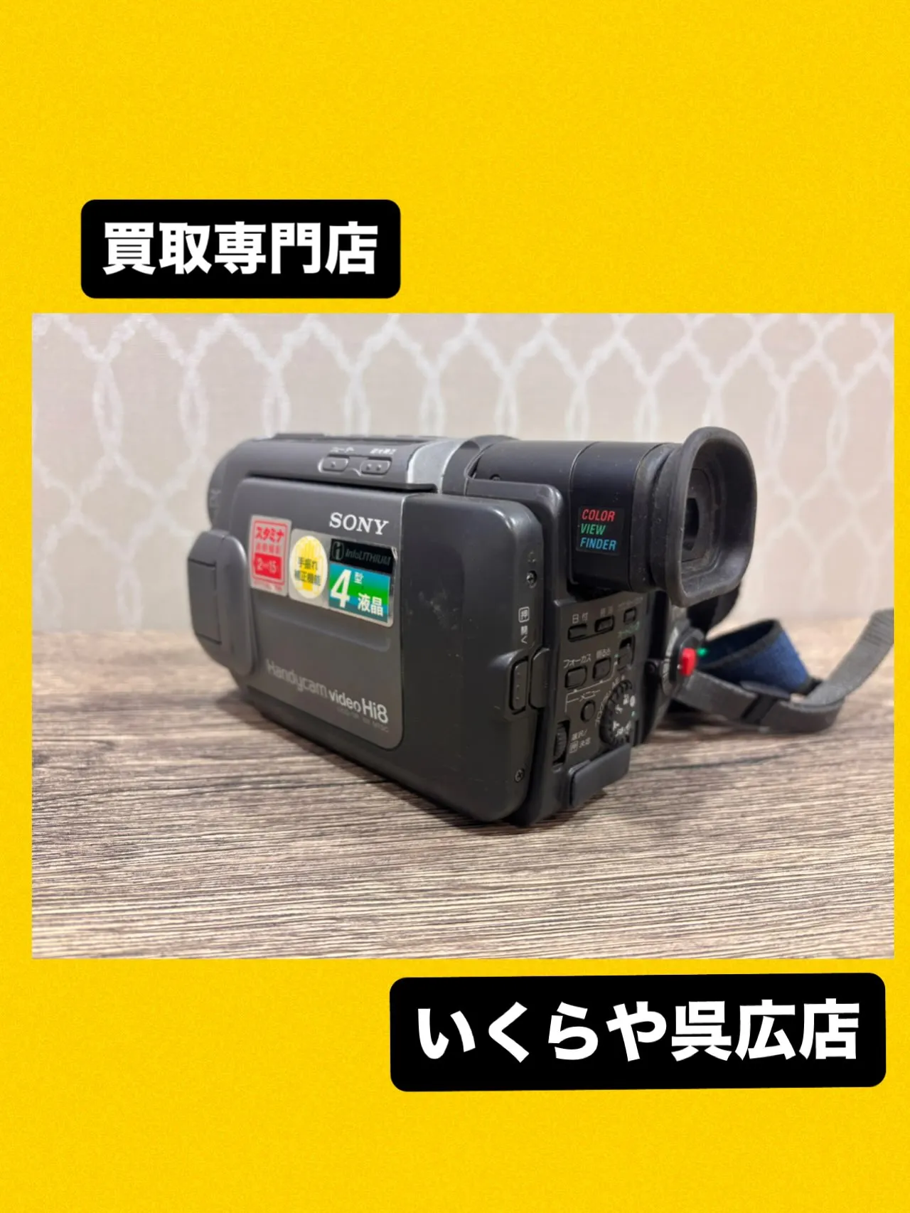 【お宝発見！？】